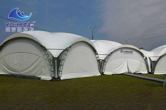 ���_��˹̹����Ĥ�Y������